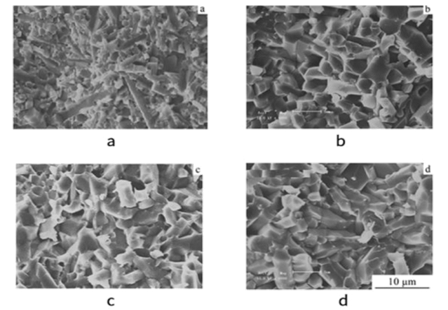 Silicon nitride ceramic grains sintered with different raw materials and holding time