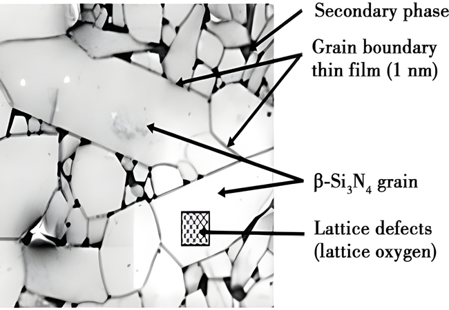 Typical microstructure of silicon nitride sintered body