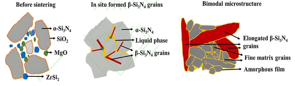 Schematic diagram of densification mechanism of silicon nitride ceramics containing ZrSi2-MgO additive